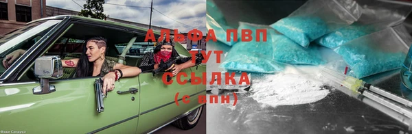 хмурый Арсеньев