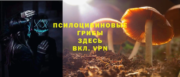 хмурый Арсеньев
