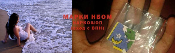 хмурый Арсеньев