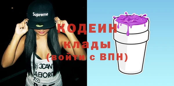 хмурый Арсеньев
