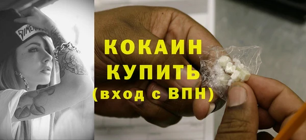 хмурый Арсеньев