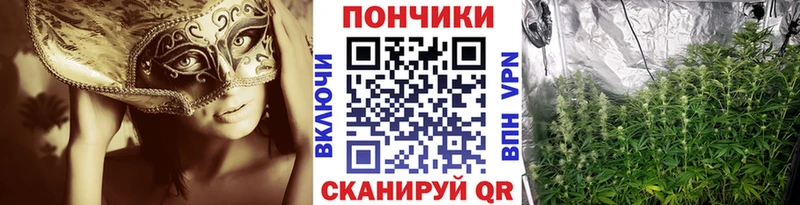Бошки марихуана LSD WEED  Купить где  Кашира 